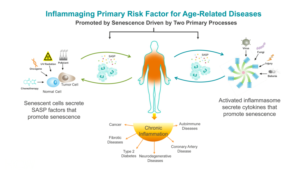 The Science Hcw Biologics